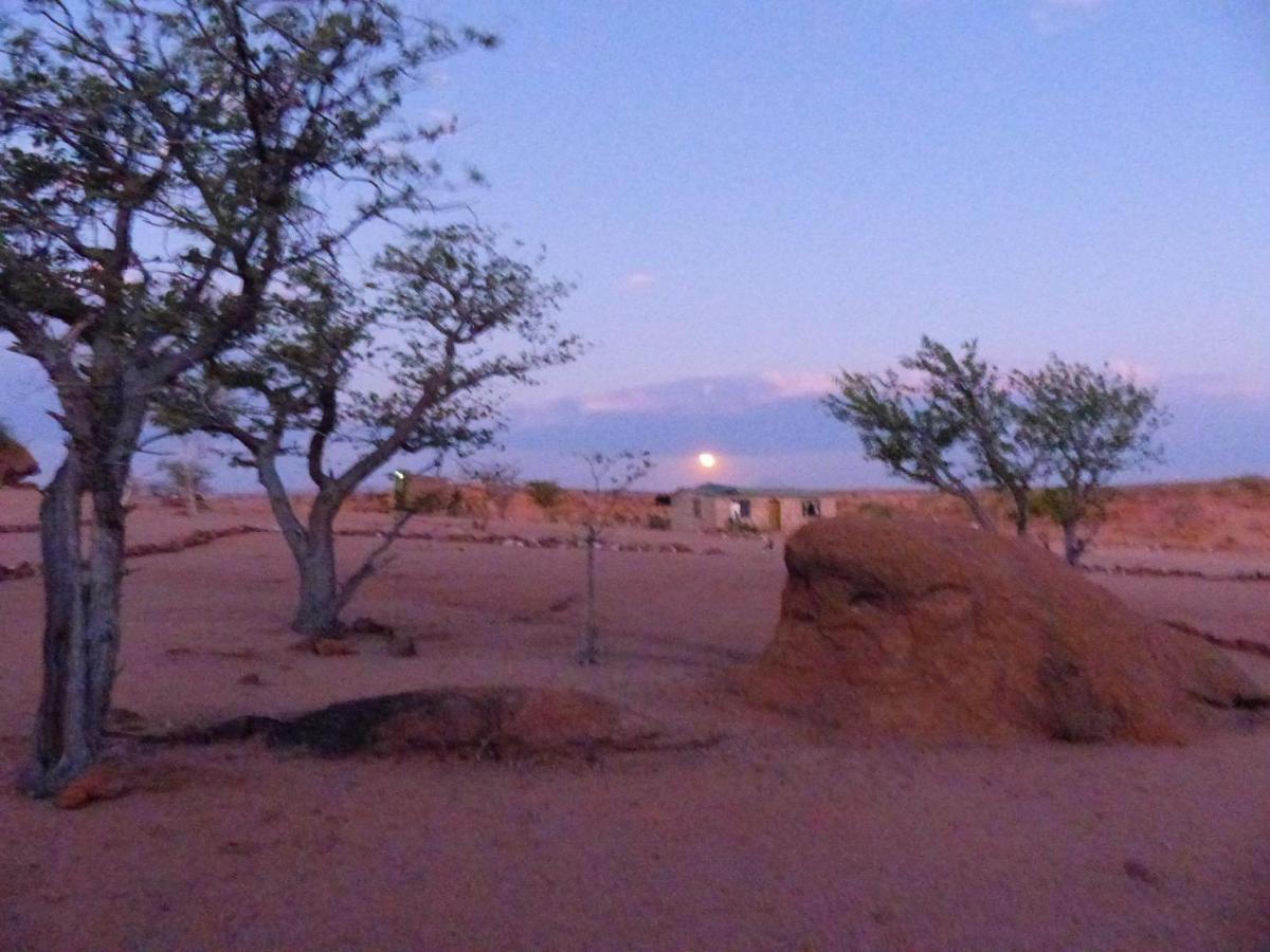 Ozohere Campsite And Himba Village Uis Exterior foto